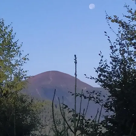 коренюки 3*